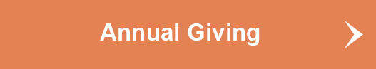 Annual Giving Button