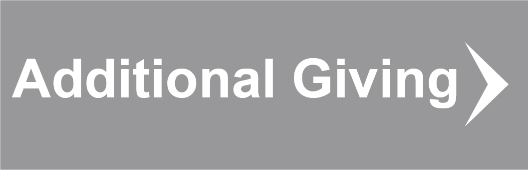 Additional Giving Button